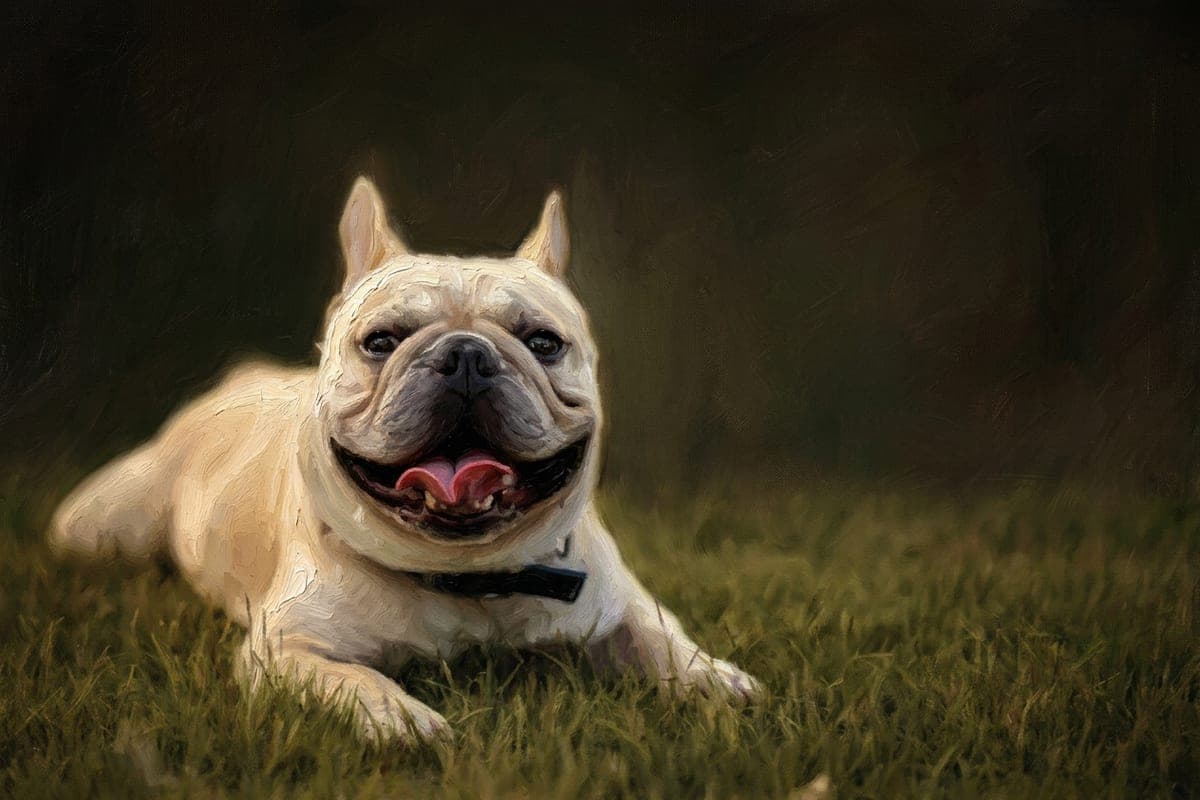 A dog in oil painting